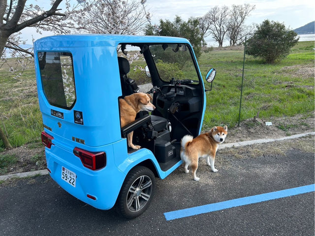 �����^��EV-�g�D�N�g�D�N�т킱����