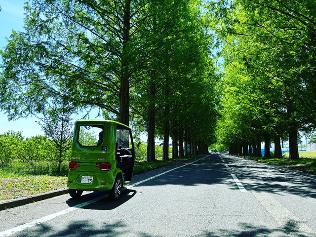 �����^��EV-�g�D�N�g�D�N�т킱����