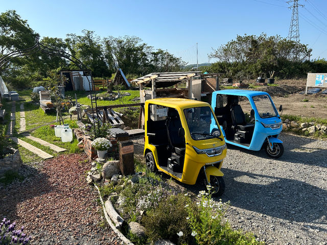 �����^��EV-�g�D�N�g�D�N�т킱����