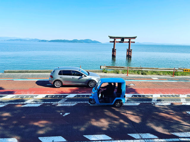 �����^��EV-�g�D�N�g�D�N�т킱����