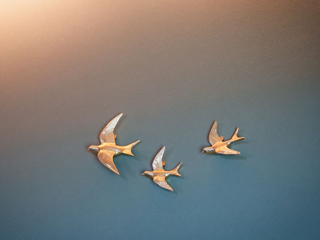 �C���e���A_Aromatherapy Academy Kyoka-����-