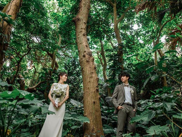 �Ί_���E�F�f�B���O�t�H�g Taran Skye