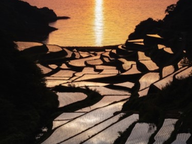 �v���O�������E�@�u���G�l���M�[���Ă������I
�I�c��400�N�������j�̃G�l���M�[�𖡂킨���I
�̂Ȃ���̋n�ƉP�ŁA�I�c�̐V�Ă����Ă̖݂����I_�G�lIKU2023in���C����~�}�`�܂邲�Ƒ厩�R�G�l���M�[�p�[�N