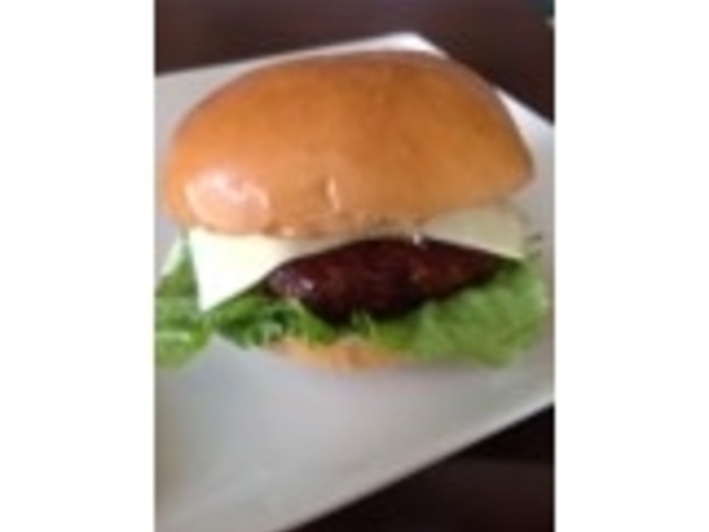 �v���O�������G �@�u���̃G�l���M�[�������悤�B�q��ō�鎩�������̃n���o�[�K�[���̌��ƍ��ꋍ���H����ʌ��w�v
_�G�lIKU2023in���C����~�}�`�܂邲�Ƒ厩�R�G�l���M�[�p�[�N