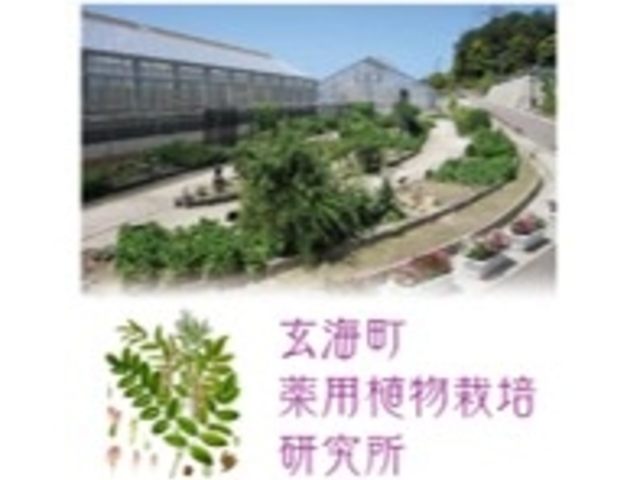 �v���O�������@
�u�A������ɁI�H���N�ɗǂ��A���G�l���M�[�����ĐG���Ė�����Ă݂悤�v
_�G�lIKU2023in���C����~�}�`�܂邲�Ƒ厩�R�G�l���M�[�p�[�N