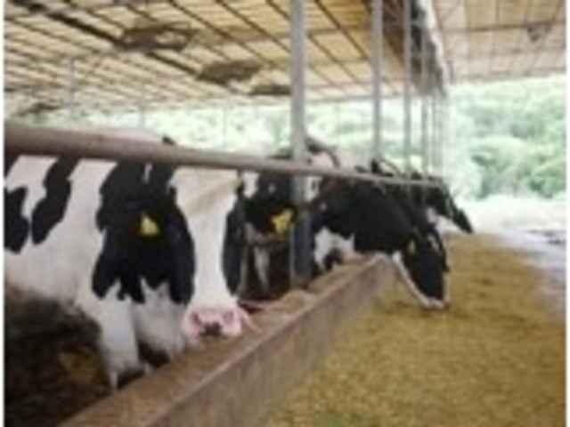 �v���O�������A�@
�u���̃G�l���M�[�����Ěk���ŐG���Ė��킨���I�q��ł̐�i�o�^�[�Â���ƃA�C�X�H�[�̓��ʌ��w�v
_�G�lIKU2023in���C����~�}�`�܂邲�Ƒ厩�R�G�l���M�[�p�[�N