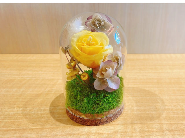 �͂��N���t�g