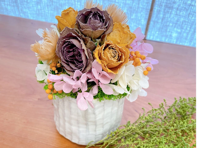 �͂��N���t�g