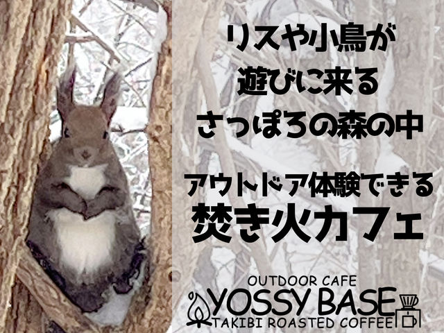 YOSSY BASE(bV[x[X)̎ʐ^1