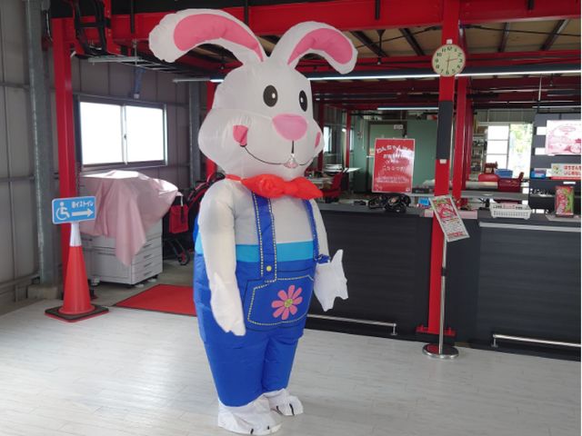 ���X�E�T�M����_�a�����V��