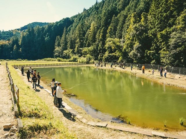 GTނ肾łȂAA[AtCAeJނł܂I_o[x[X