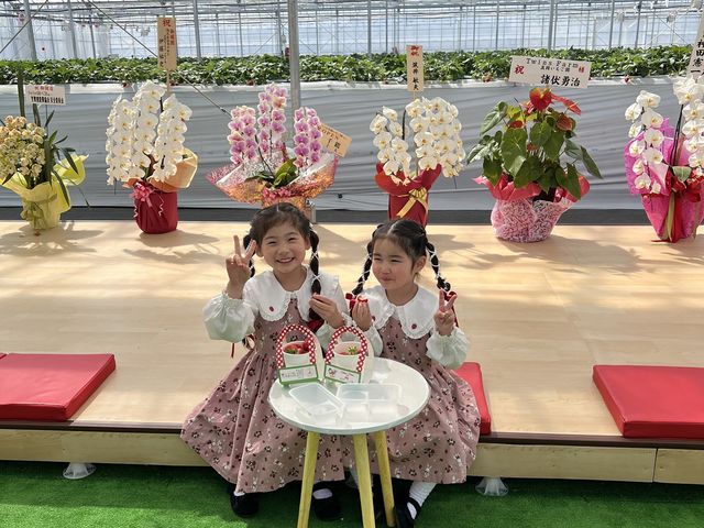 Twins Farm �^����������