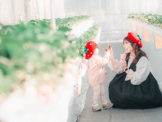 Twins Farm �^����������