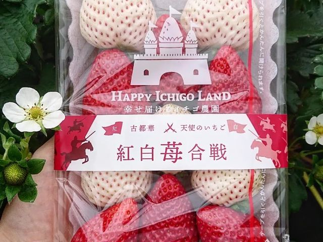 yYC`SXC[c[I_nbs[C`Sh