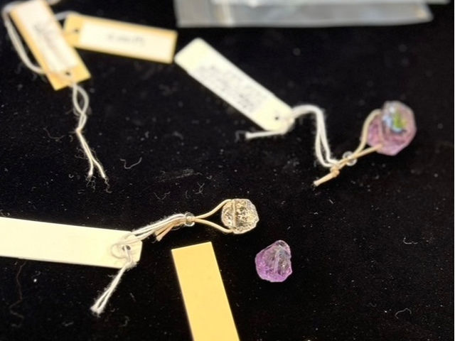 �V�R��&�� Lunaria �l���΃p�[�N�r���b�W��