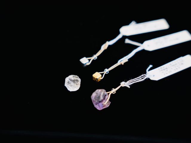 �V�R��&�� Lunaria �l���΃p�[�N�r���b�W��