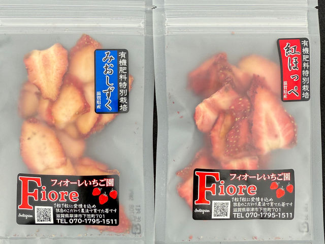 �t�B�I�[����������