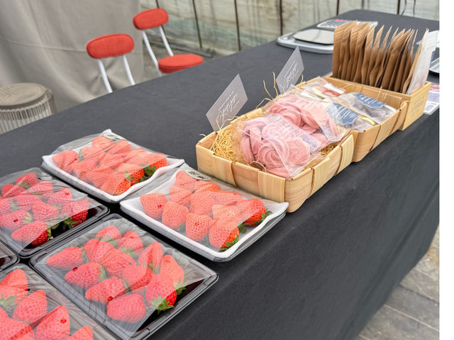 �h���C�t���[�c

���[�s���[�s����̂��َq
�~�c������̂��َq�̔����Ă܂��B_�t�B�I�[����������