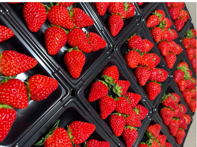 �t�B�I�[����������