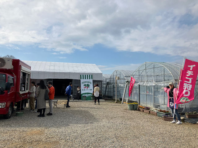 �����C�`�S��