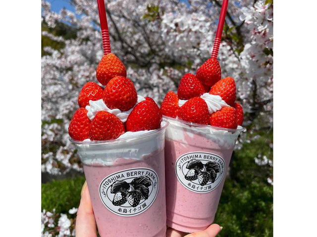 �Z���X���[�W�[_�����C�`�S��