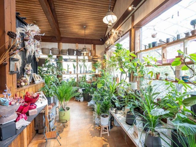 �Ԃ悵 ���Y�X