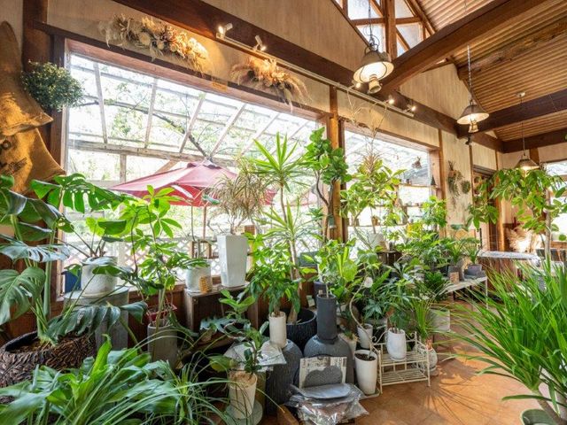 �Ԃ悵 ���Y�X