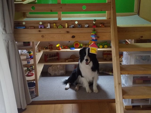 �����c���[�n�E�X�̕ǂɂ��G�`���ŗV�т܂��傤�B_�`�r�b�R �����R���]�[�g sarari