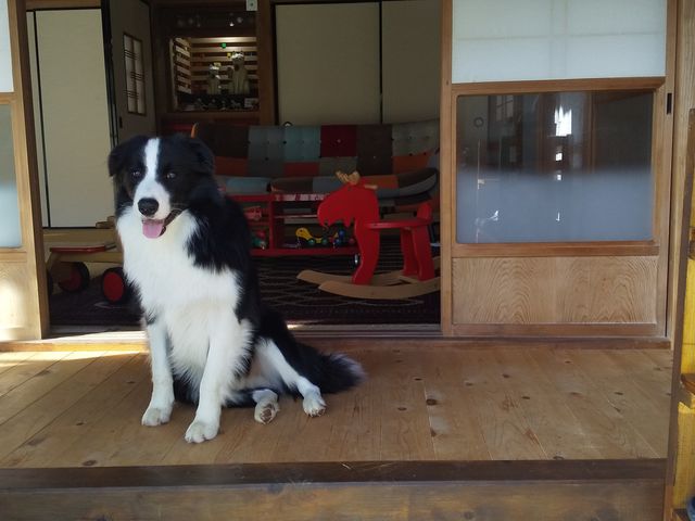 ���ւ���E�F���J�����[���B_�`�r�b�R �����R���]�[�g sarari