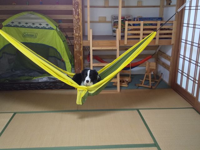 �n�����b�N�͑�l�p�R�݂�A�q���p1�݂�B_�`�r�b�R �����R���]�[�g sarari