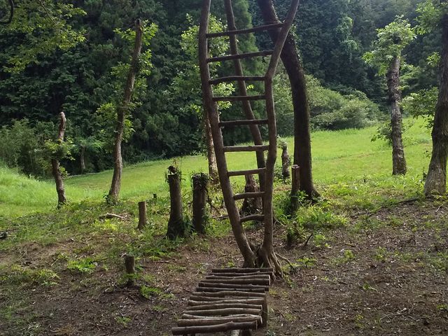 �R�̎U��R�[�X�Ŗؓo�肪�ł��܂��B_�`�r�b�R �����R���]�[�g sarari