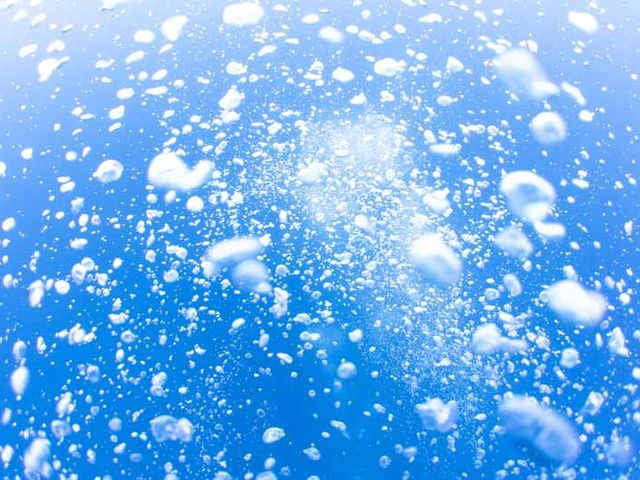 �{������������_�C�r���O���y���ݕ��͖�����B
�����̍D���Ȃ悤�ɊC���y���݂܂��傤�B_�t�B�[���_�C�u���ƂԓX