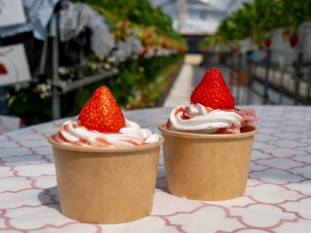 �A�C�X���H�ו���I_�祂Ղ�`��