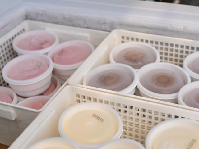 �A�C�X�͂������E�o�j���E�`���R��3��ނł�_�祂Ղ�`��