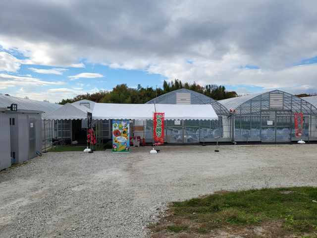 �������n�E�X�����ł�_�D�{�t�@�[���p�[�N