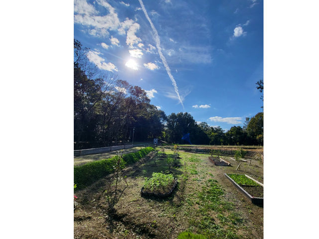 �אڂ���u�D�{���v�̂ǂ��ł�_�D�{�t�@�[���p�[�N