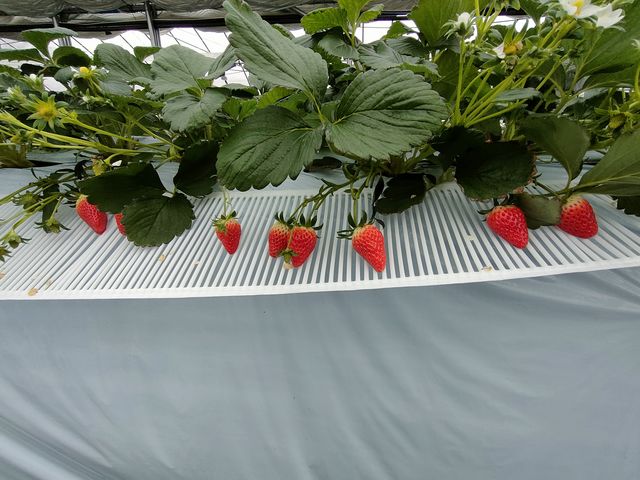 ���������������������オ���Ă�������_�D�{�t�@�[���p�[�N