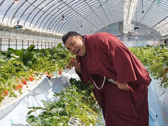 �����ւ������A���t���b�V�����������܂���_�D�{�t�@�[���p�[�N