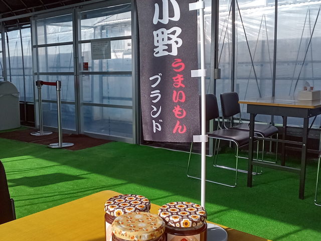 ���삤�܂�����u�����h�F�؁u����̂������W�����v�ł�_�D�{�t�@�[���p�[�N