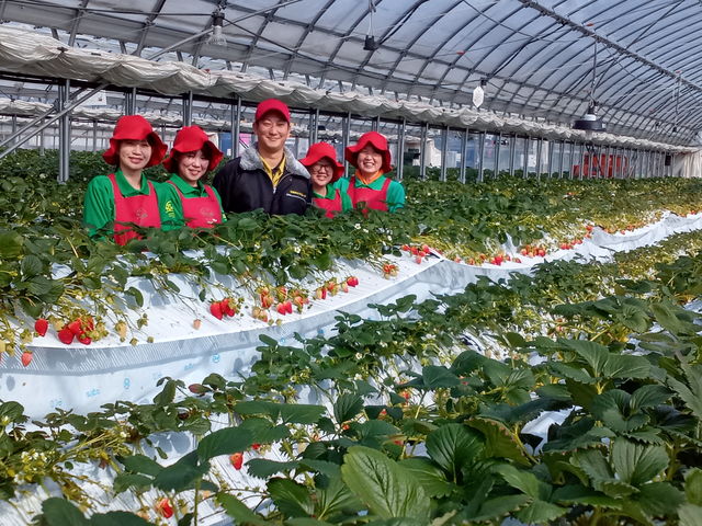 ���������O�����č͔|���Ă��܂�_�D�{�t�@�[���p�[�N