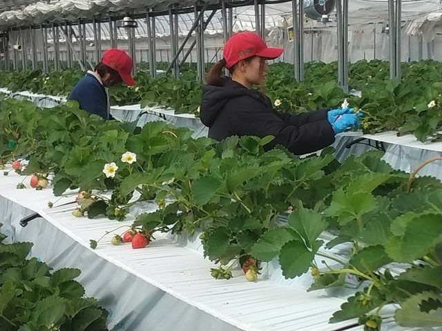 ��؁E���J�Ɉ�ĂĂ��܂�_�D�{�t�@�[���p�[�N