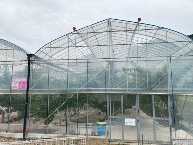 ��̉ԃt�@�[��