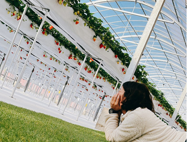 �l�H�Ń]�[���ł����Ƃ��Ă���_䕎� ��������襒���