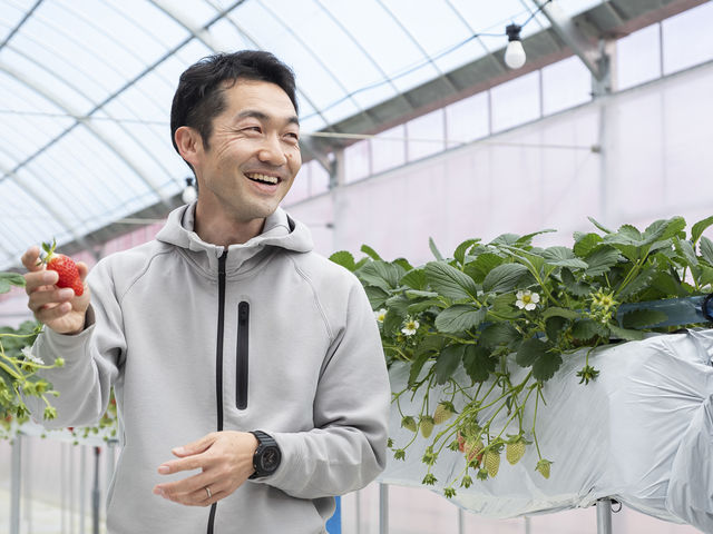 ���������������̌����������������܂���_䕎� ��������襒���