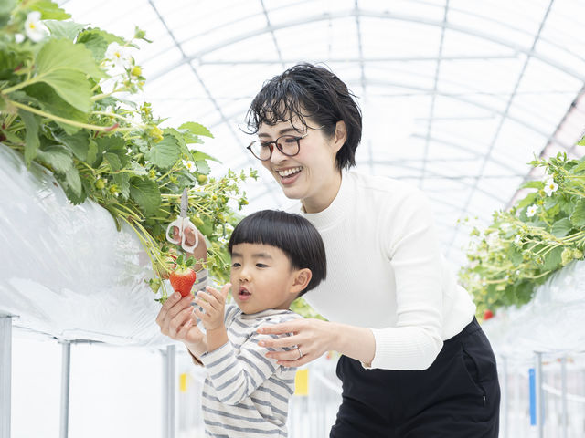 �E�ݎ��ɕs���ȕ��̓n�T�~���g����OK_䕎� ��������襒���