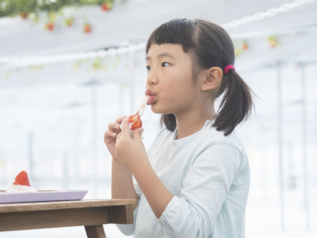 �����ō�����啟�A���������ȁ�_䕎� ��������襒���