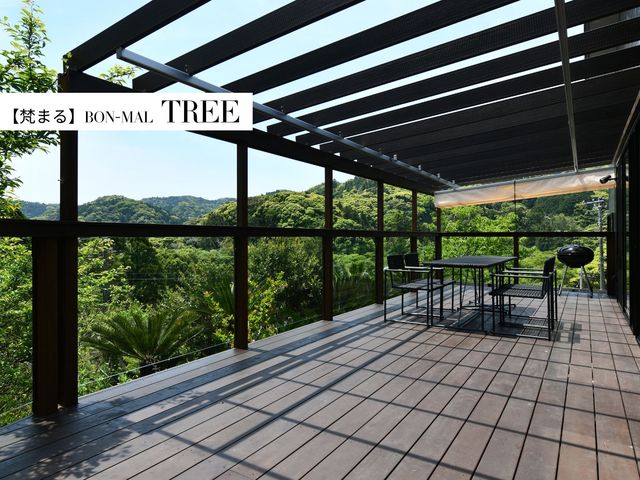 �yTREE�z_BON�MAL HOLIDAY