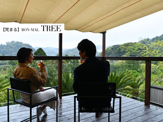 �yTREE�z_BON�MAL HOLIDAY
