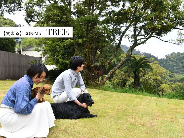 �yTREE�z_BON�MAL HOLIDAY
