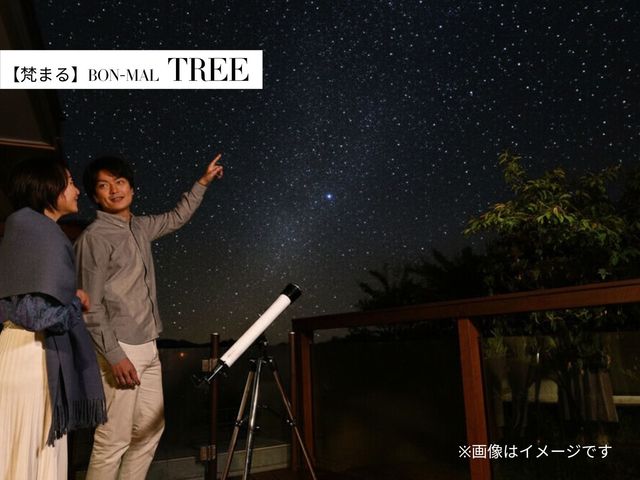 �yTREE�z_BON�MAL HOLIDAY